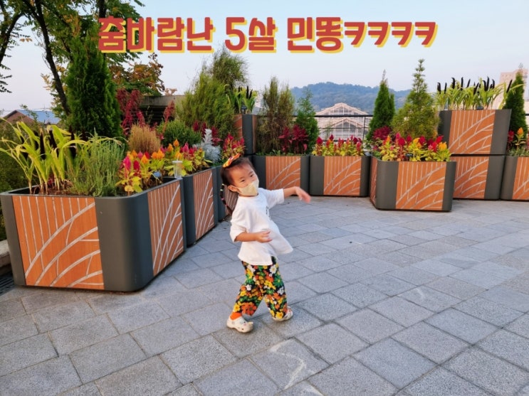 블랭핑크 셧다운 커버댄스 by.5살 민똥