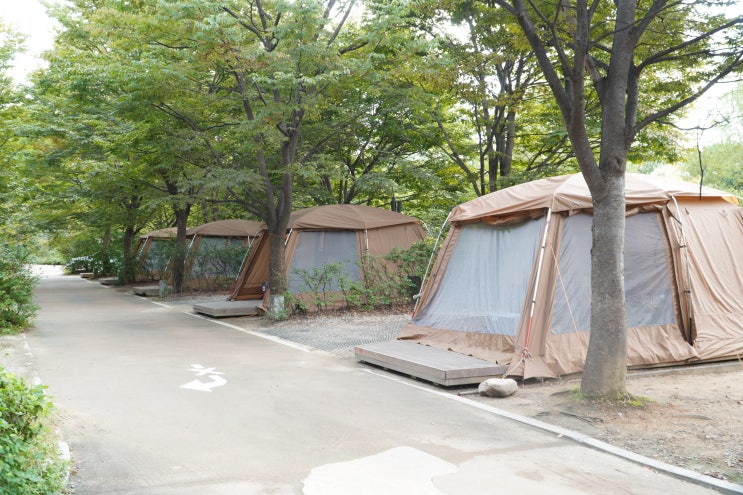  중랑캠핑숲 캠핑장 바베큐 캠핑 주차 예약 정보