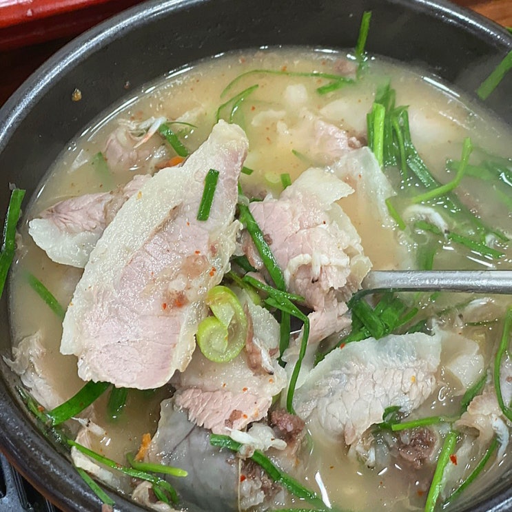 우리들 돼지국밥 마산 맛집 고기가 알차게 들어있는 석전동 돼지국밥 맛집