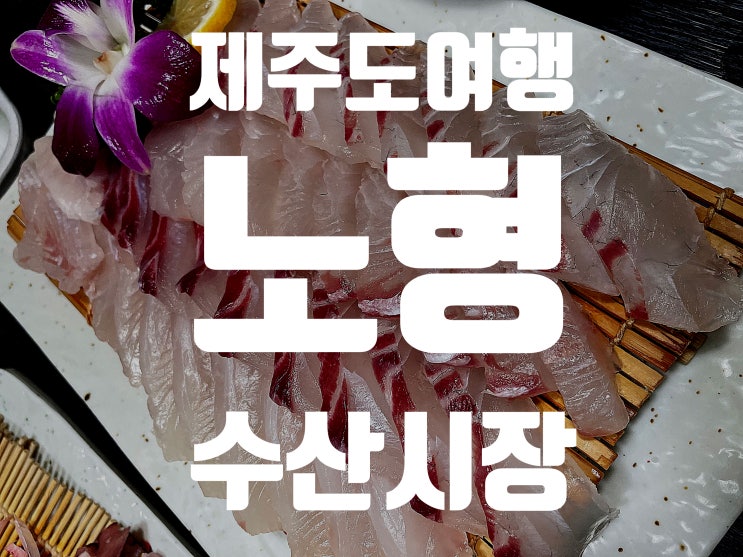  [제주도여행] 제주도 노형수산시장, 제주도 회 맛집