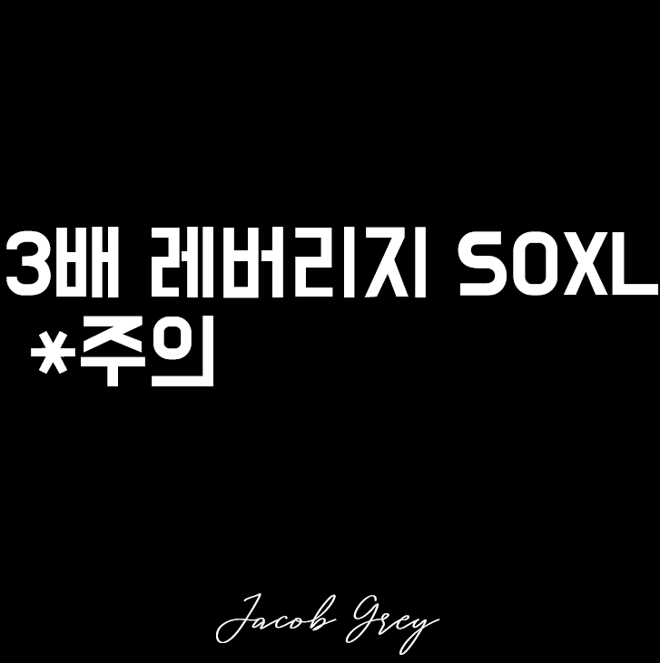  주의 반도체 지수 ETF 3배 레버리지 SOXL 간단히 알아보자