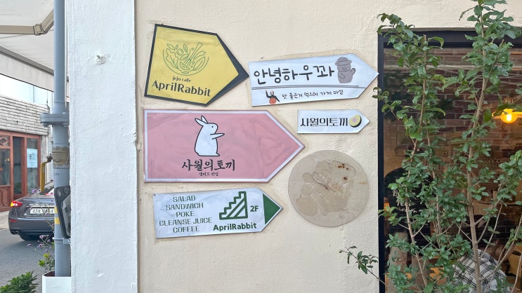  [김해] 사월의토끼 _치덕치덕포케. 맛집
