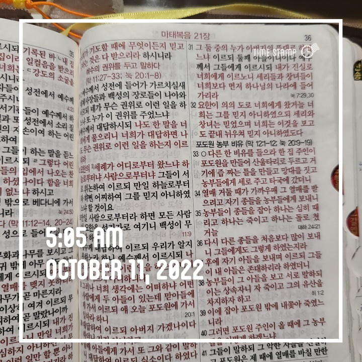  10월 기회를 줘야 하는 때다 -284일