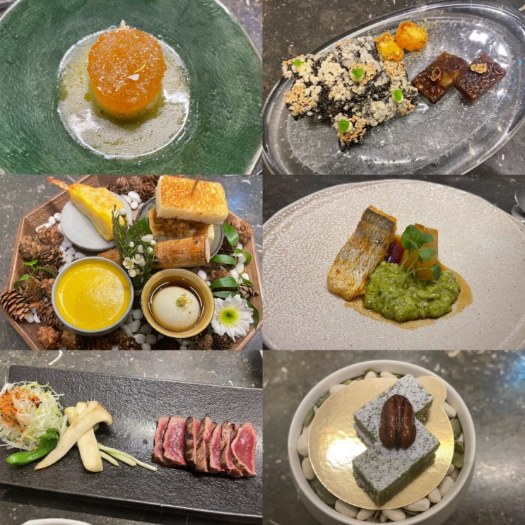  강남 한우 오마카세 맛집 모도우 강남N점 콜키지프리 룸식당 후기