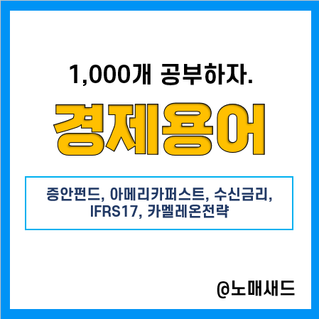 경제용어 :: 증안펀드, 아메리카퍼스트, 수신금리, IFRS17, 카멜레온전략 경제용어 :: 증안펀드, 아메리카퍼스트, 수신금리, IFRS17, 카멜레온전략