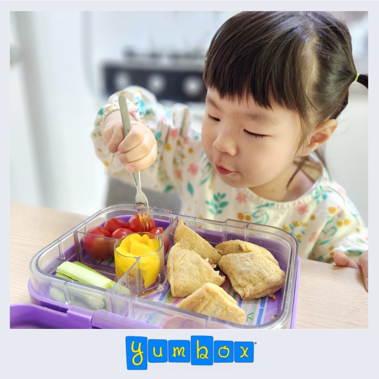  어린이집 소풍도시락 추천, 얌박스 라지