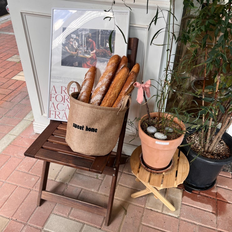  파주 운정브런치카페 이국적인 분위기의 카페 올로크 Cafe Oloc