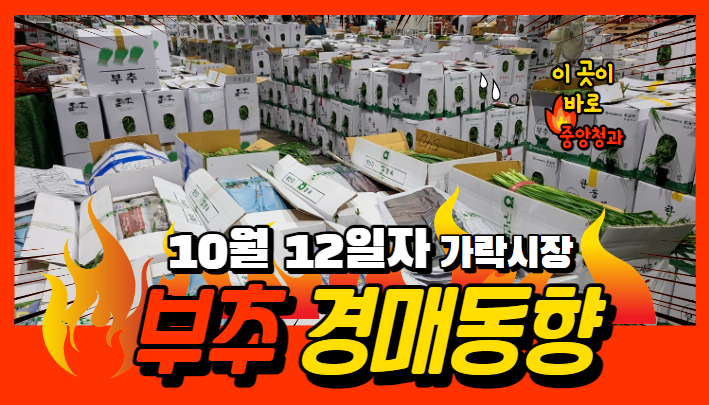  [경매사 일일보고] 10월 12일자 가락시장 "부추" 경매동향을 살펴보겠습니다!