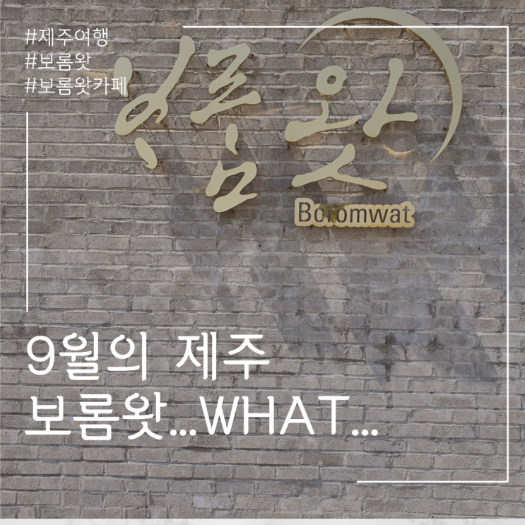  제주도 9월의 보롬왓