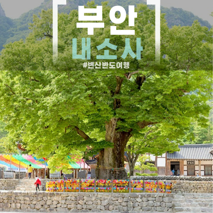 전북 변산반도 여행 부안 내소사 입장료 전나무숲길 템플스테이 가능 (주차비)