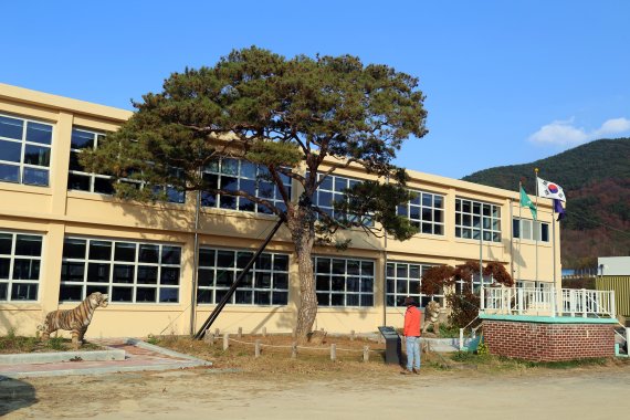  진주 부자소나무 기운받아 부자되자!