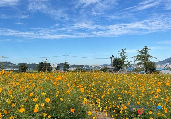  관포지교