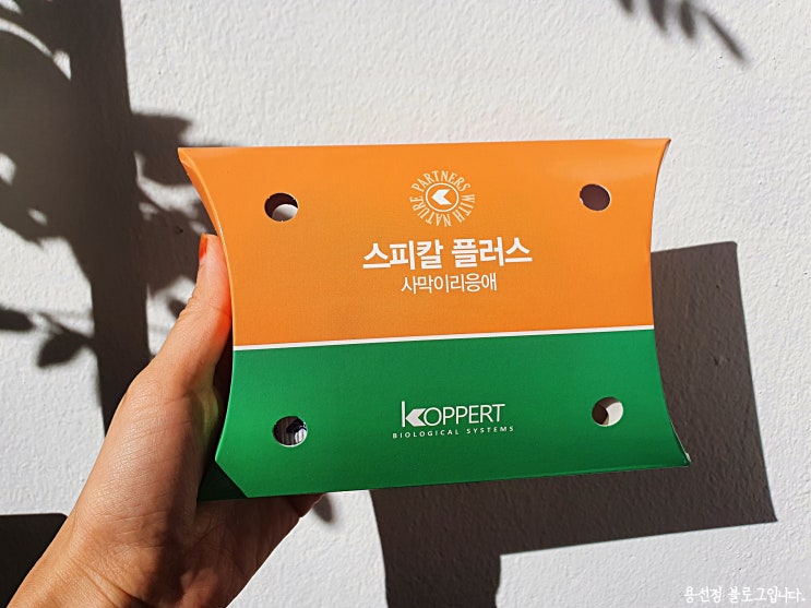  코퍼트 스피칼 플러스 사막이리응애, 분재에 생긴 응애 퇴치 천적으로 가능할까? 내돈내산 솔직 후기