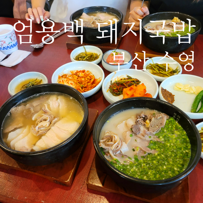  부산사람이 먹어본 '엄용백 돼지국밥' 웨이팅 머선129