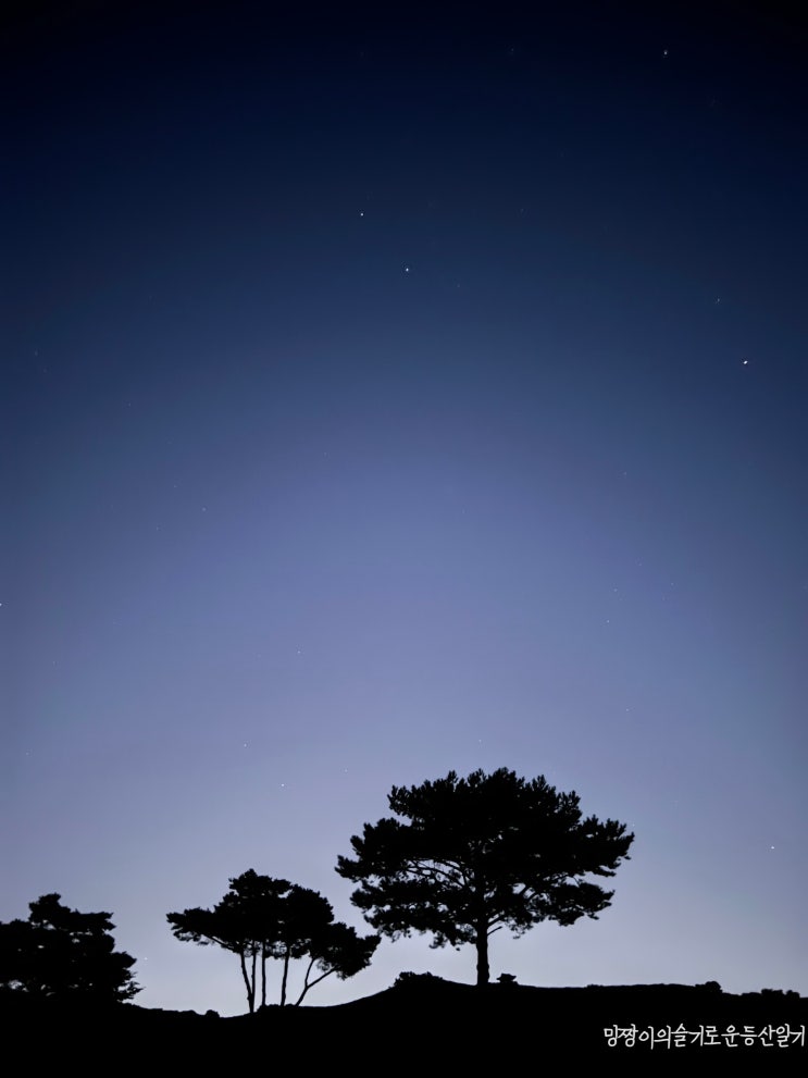 가을만 되면 게을러지는 습성,,,