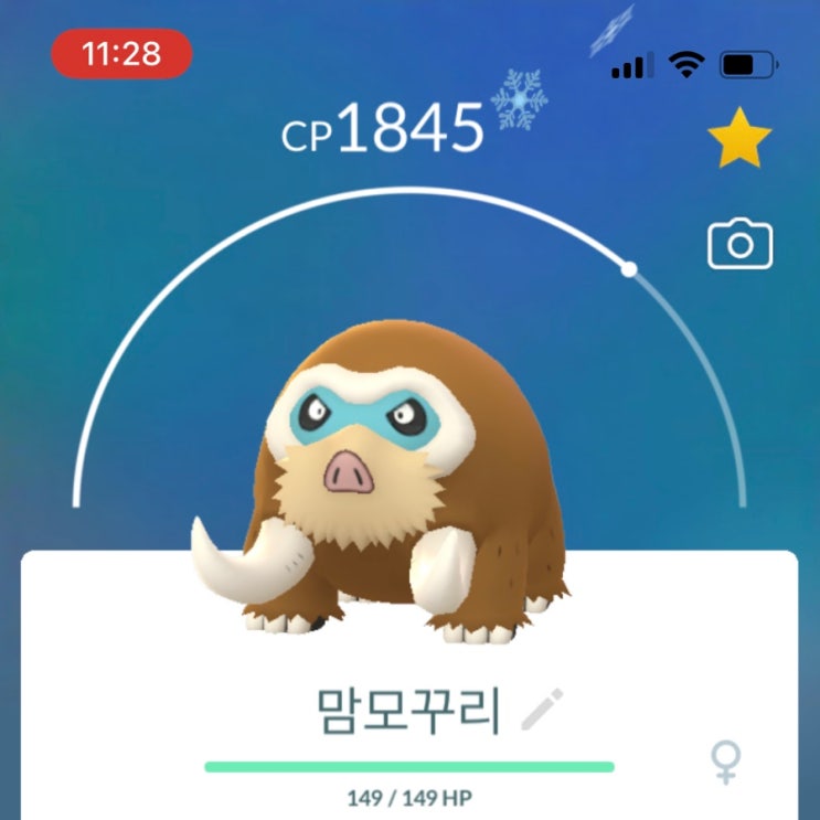 메꾸리 진화하면 맘모꾸리 꾸꾸리