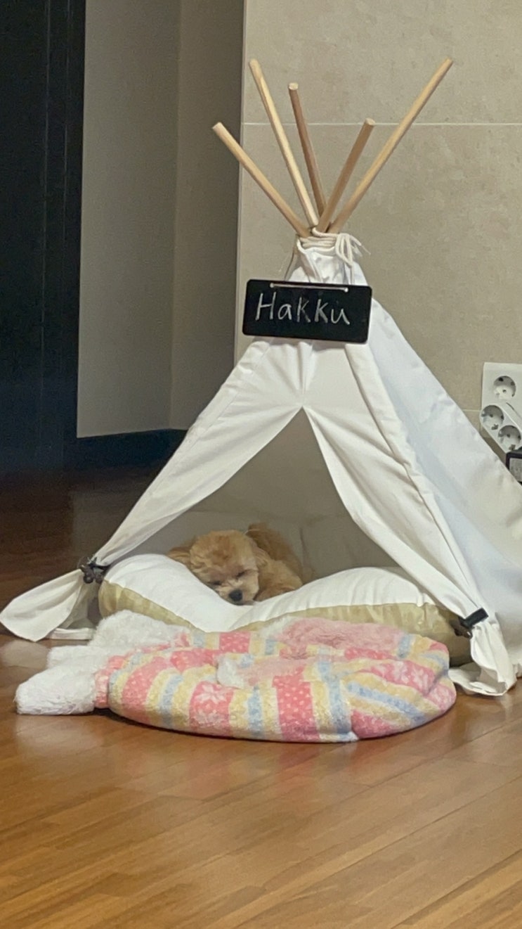  특별할 거 없는 그냥 그런