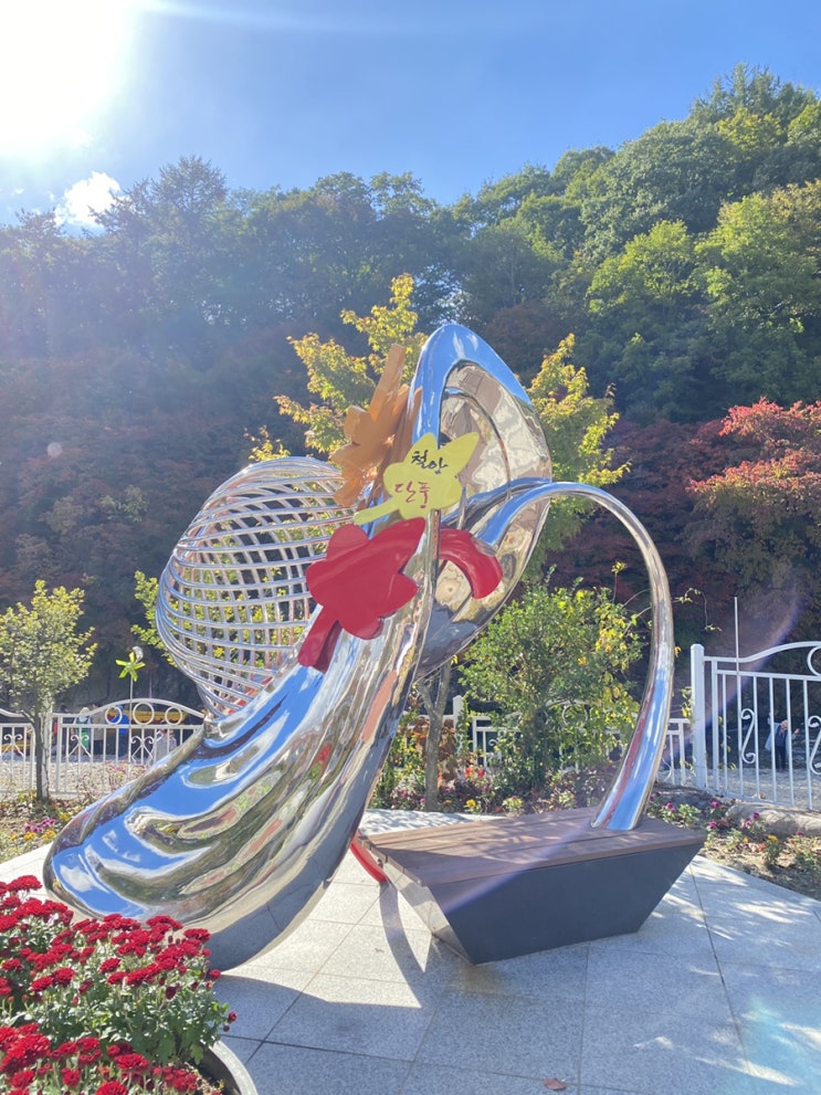  태백 철암단풍군락지, 강원도 단풍 명소, 단풍축제 정보 有