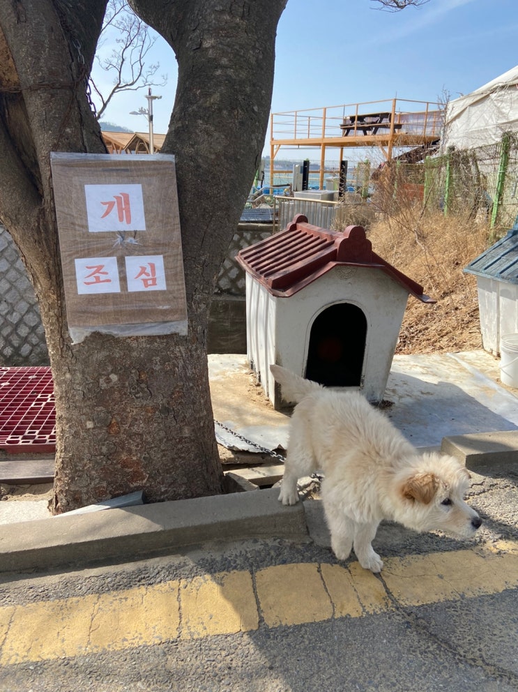  분당SBS아카데미학원에서 공부한 후기(장점/단점/수강료)