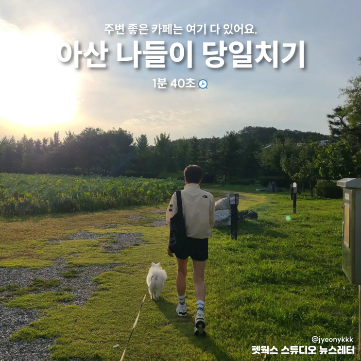  아산 신정호, 반려견 동반 나들이 가기 좋은 4곳