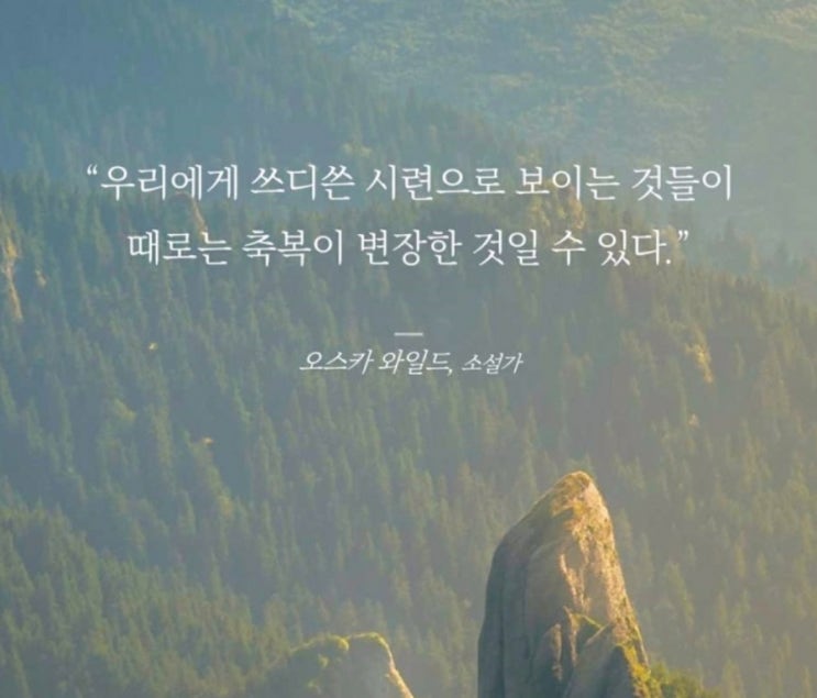  부거사이 [부동산 뉴스와 블로그] 10월 11일(화)