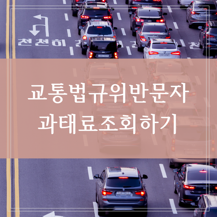  속도위반 교통법규위반 과태료 조회 문자 스미싱 주의하세요