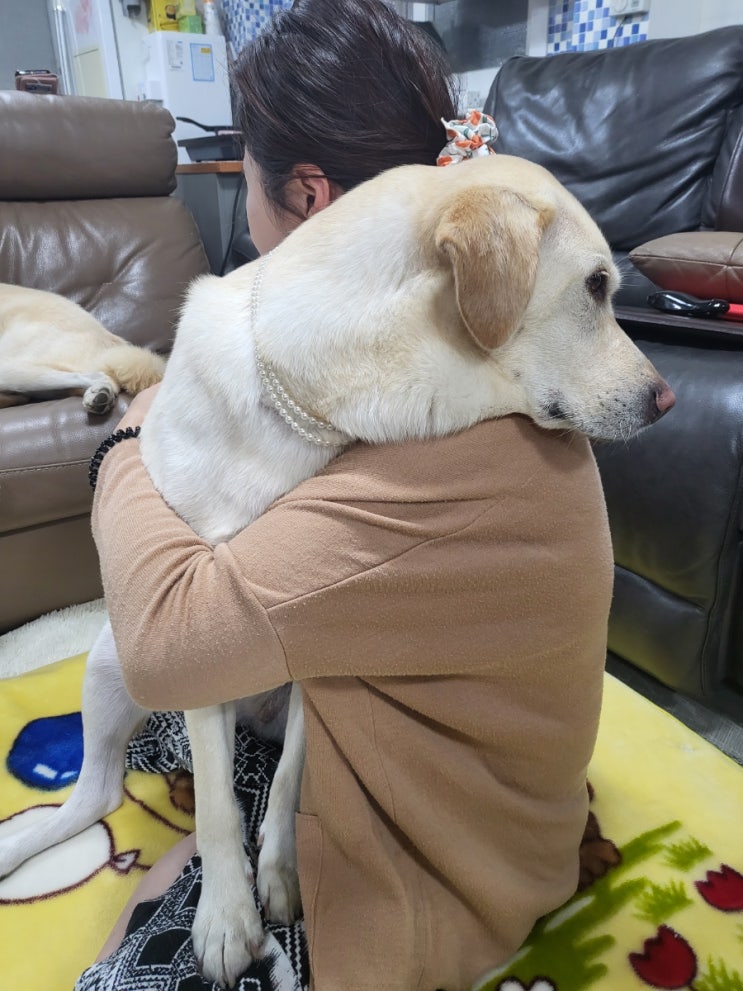  영이가 왜 이럴까요?