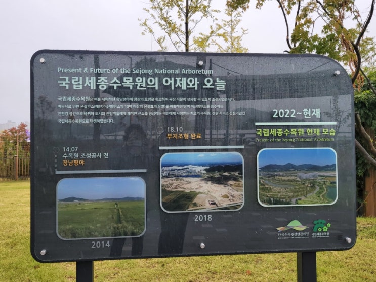  국립세종수목원 입장료 야간개장 예약 없이 초록 느끼기