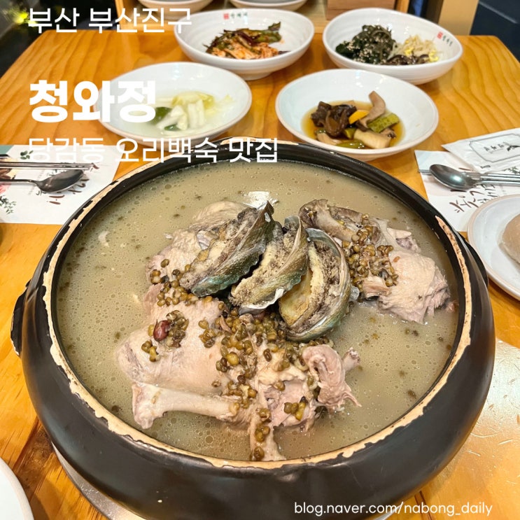 부산 한정식 청와정, 오리백숙이 맛있는 당감동 맛집