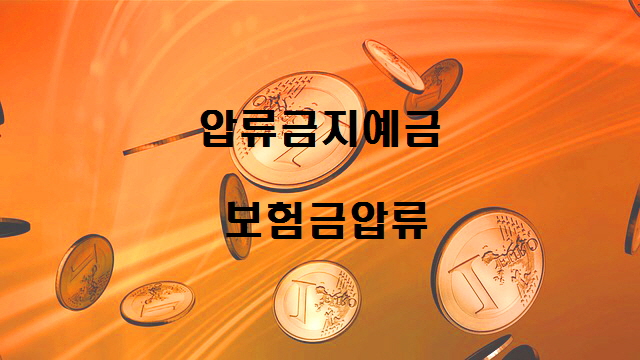 압류금지 예금, 보험금 압류시 법률관계 및 대처방법
