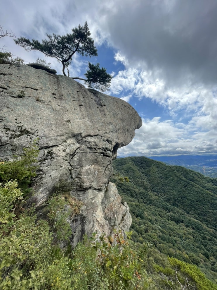  가평의 산등성이가 훤히 보이는 축령산 서리산 연계산행