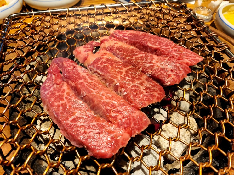  종각 꽃갈비살 고기맛집 왕비집