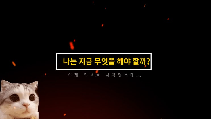  나는 지금 무엇을 해야 할까? 20대