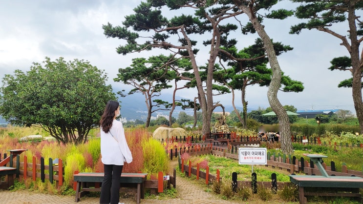  홍룡사 근처 정원있는 양산 무타블랑 대형 카페