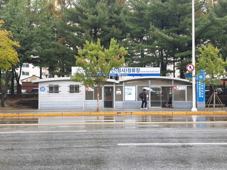 광주 대전여행, 대전복합터미널과 둔산청사 정류장