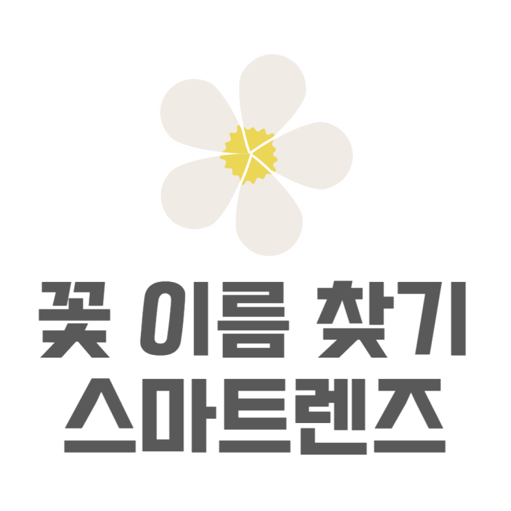 꽃찾기 네이버 스마트렌즈로 쉽게 찾아봤어요 꽃찾기 네이버 스마트렌즈로 쉽게 찾아봤어요