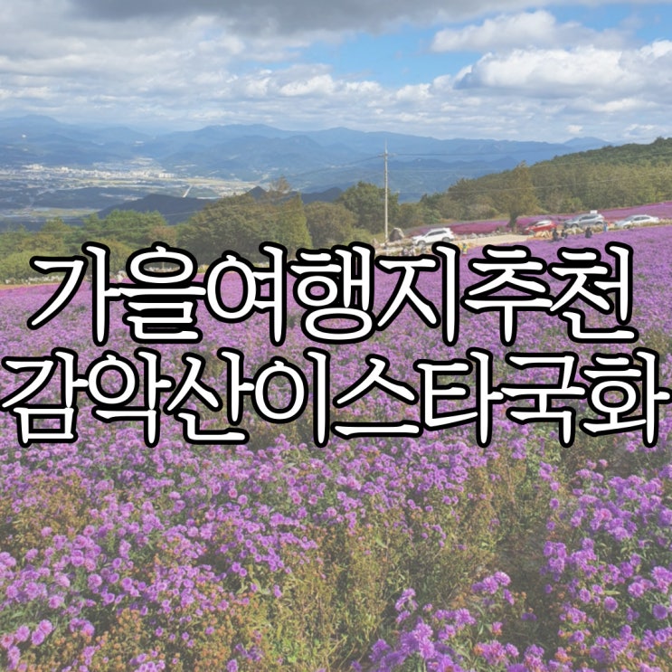  경남 10월 가볼 만한 곳 감악산 풍력 단지 이스타 국화