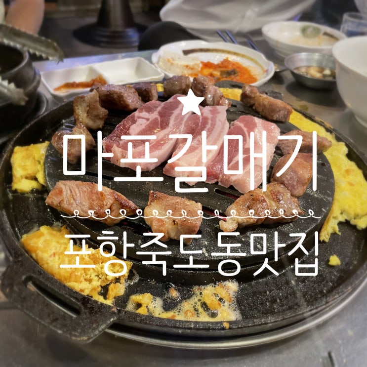  포항죽도동맛집 _ 신마포갈매기 포항쌍용사거리점