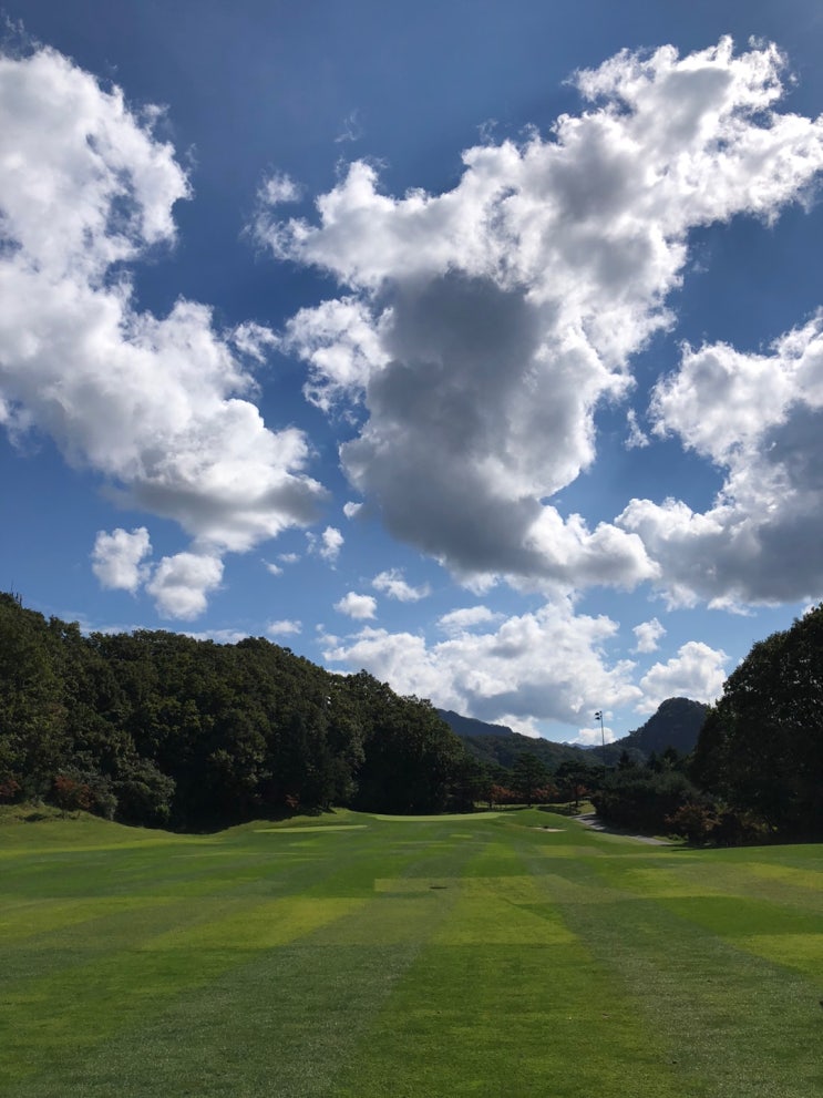  가족 라운딩 in 몽베르cc