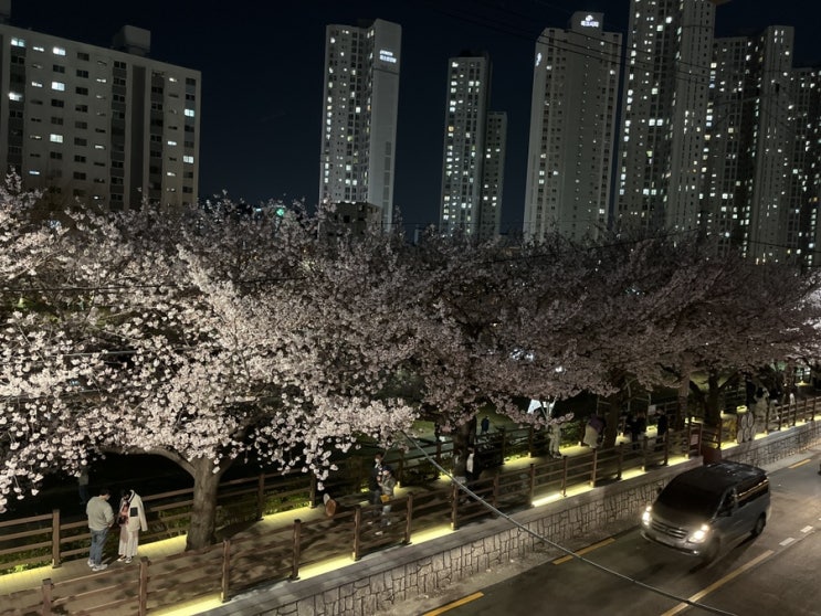  10.12 운동일기