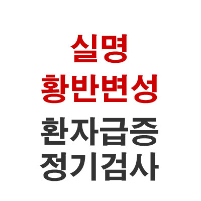  실명 황반변성 환자급증 정기검사