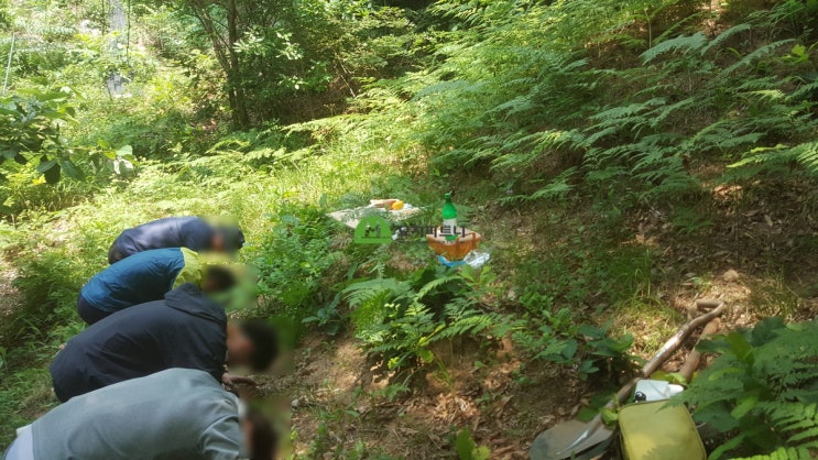  장수 묘지개장 흙이 좋을수록 깊게 모셔지는 이유