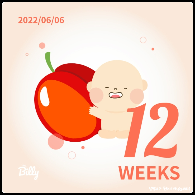  임신기록_ 임신 12주차 (기형아쿠폰, 1차 기형아검사, 입덧완화)
