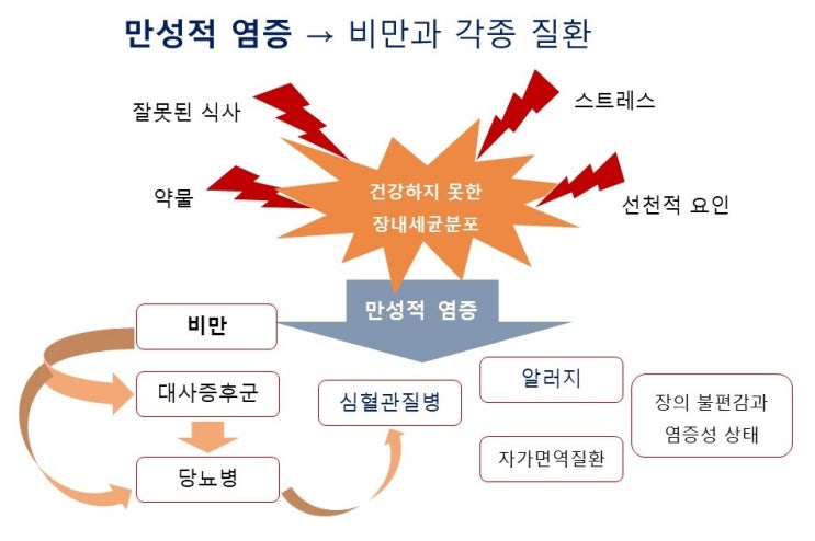  염증(inflammation)과의 전쟁, 호염증(pro-inflammatory)과 항염증반응(anti-inflammatory response)의 균형