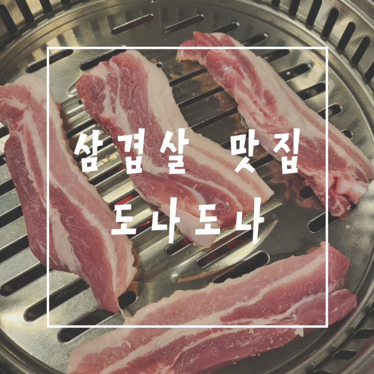  노원역 삼겹살 맛집 도나도나