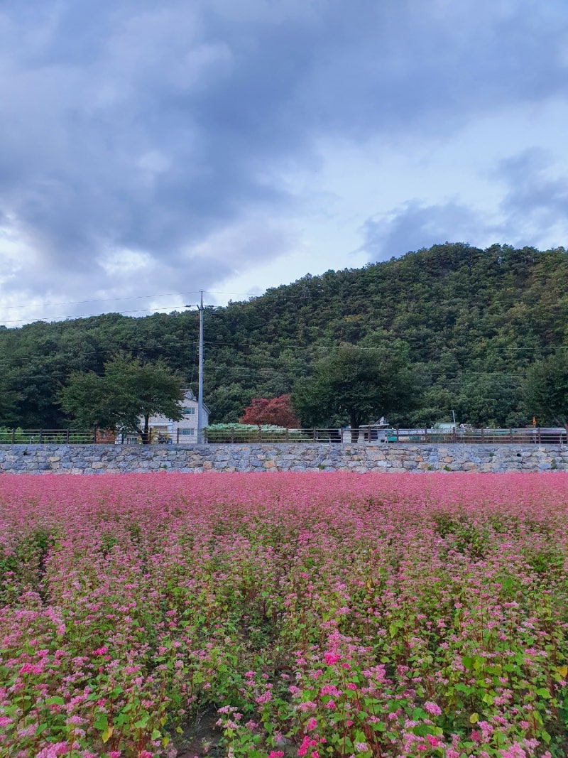 강원도 가볼만한곳 / 10월 여행지 추천 