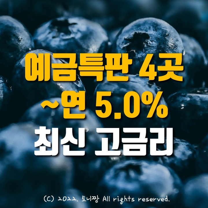 예금특판 4곳 연5.0% 최신 고금리. 목포우리 서천 대전한일신협. KB저축은행