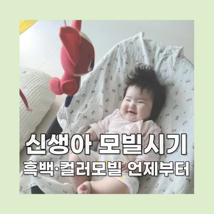  신생아 모빌 시기, 흑백모빌 컬러모빌 언제부터