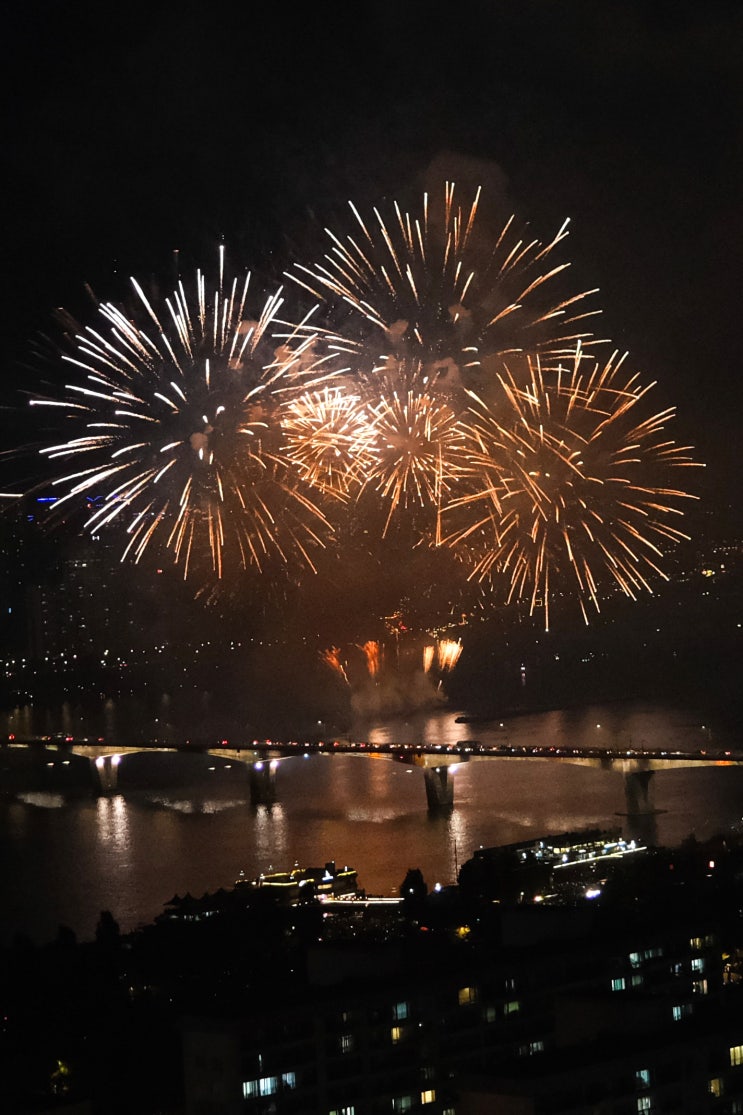  [2022 서울세계불꽃축제] 역대급 여의도 한강 불꽃축제 직관 후기
