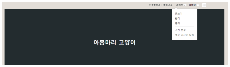 블로그 두 개 애드 포스트 신청 및 조건과 보류 이유